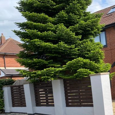 PHOTO-2023-09-14-16-40-33 (1)